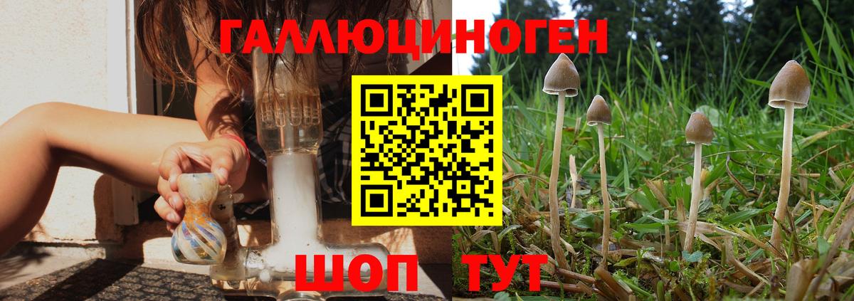 Иваново  Галлюциногенные грибы мухоморы  Вход с VPN  Псилоцибиновые грибы Psilocybine cubensis 